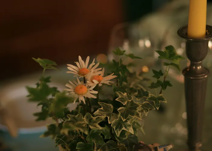 Glocke Weingut Und Pensionat