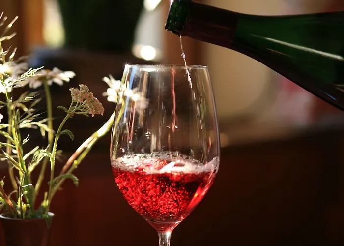 Πανσιόν Glocke Weingut Und 3*