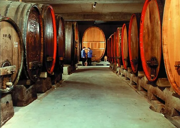 Glocke Weingut Und Πανσιόν 3*